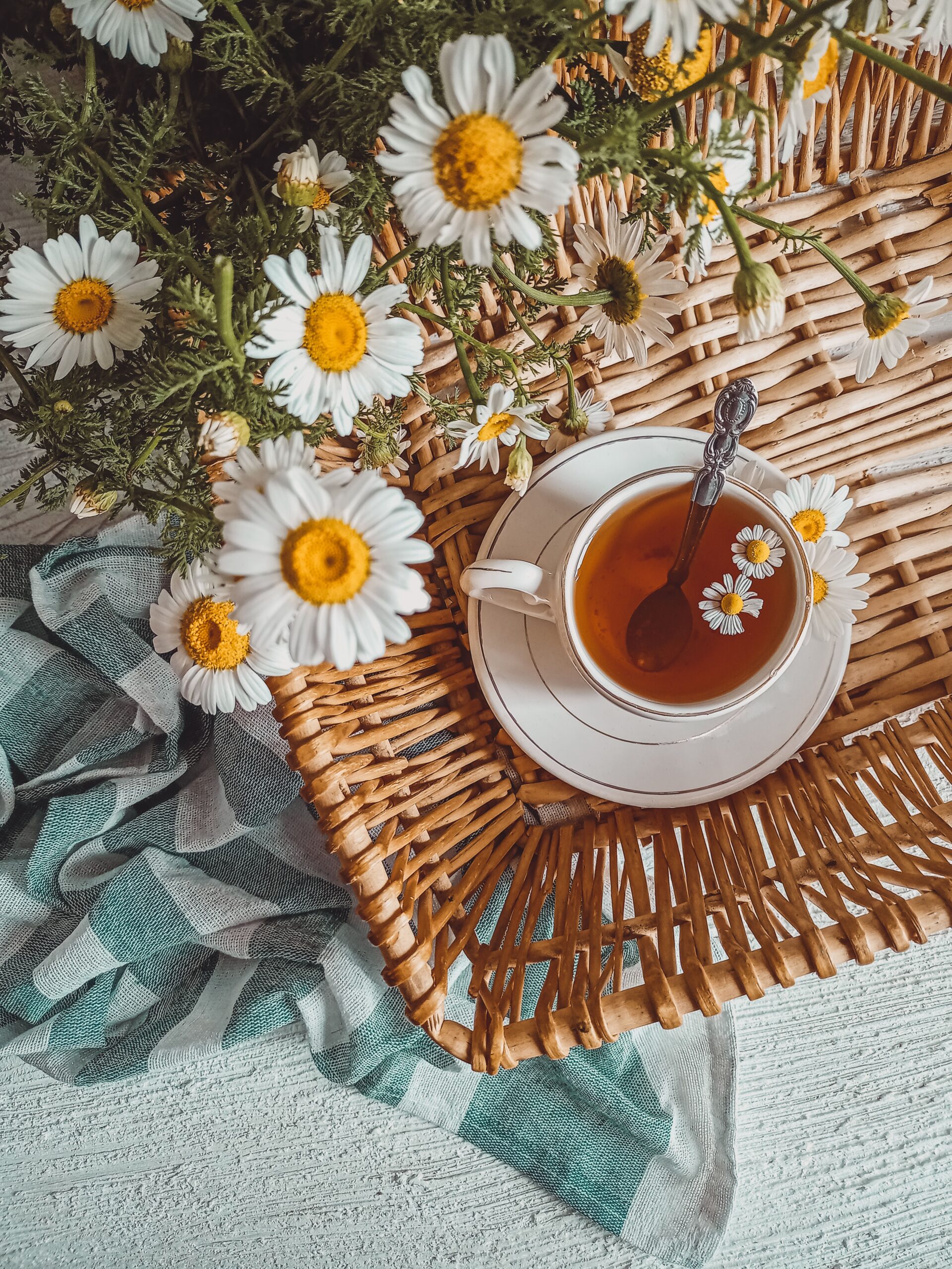 Cup of chamomile tea with fresh chamomile flowers